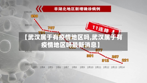 【武汉属于有疫情地区吗,武汉属于有疫情地区吗最新消息】-第2张图片