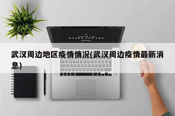 武汉周边地区疫情情况(武汉周边疫情最新消息)