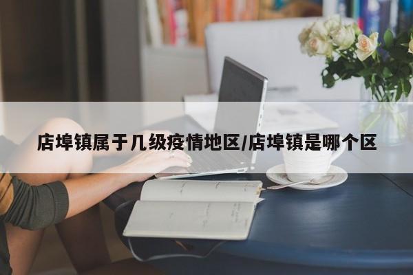 店埠镇属于几级疫情地区/店埠镇是哪个区
